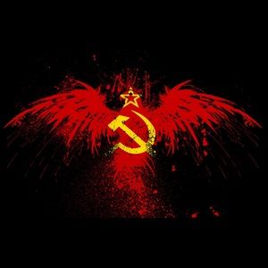 Meet your Posher, Cameron